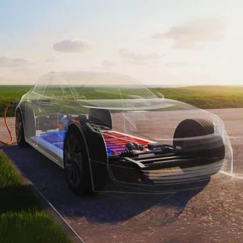ZEV featured image - Electrification is in our nature